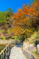 Late, autumn, scenery, of, Qingliangzhai, Scenic, Area, in, Wuhan, Hubei