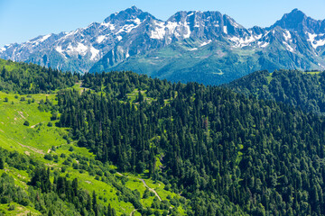 Fototapeta na wymiar Beautiful mountain landscape with forest at Caucasus mountains.