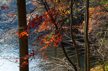 Late, autumn, scenery, of, Qingliangzhai, Scenic, Area, in, Wuhan, Hubei