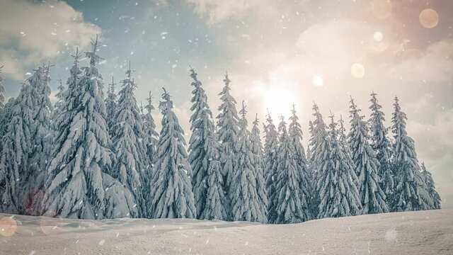 Falling snowflakes in frozen mountains landscape with fir trees. Christmas background with tall spruce trees covered with snow in forest. Snowing winter footage, 4K video, slow motion