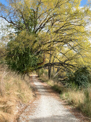 Tucker Beach Trail, Queenstown Area, New Zealand