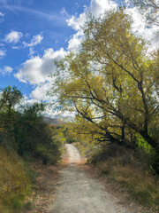 Tucker Beach Trail, Queenstown Area, New Zealand