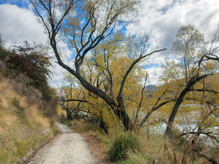 Tucker Beach Trail, Queenstown Area, New Zealand