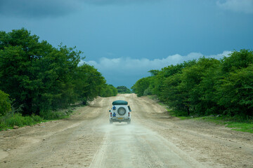 4x4 driving in the bushland