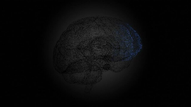Digital representation of a brain scan. Interior of the brain.