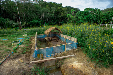 The blurred background view of the roadside inn and green rice fields, the beauty of nature during the trip.