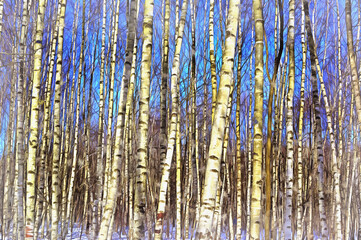 Birch forest in sunny winter day colorful painting looks like picture