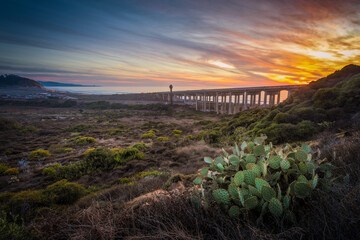 The Torrey Pines Bridge and Preserve in San Diego California