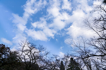 晩秋　樹木公園の風景
