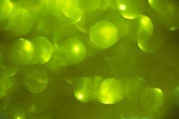 Fototapeta premium Shimmering blur spot light on ligtht green color background, Christmas concept