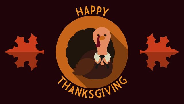 Thanksgiving turkey over round button in flat style and long shadowand maple leaves. Video animated 4K