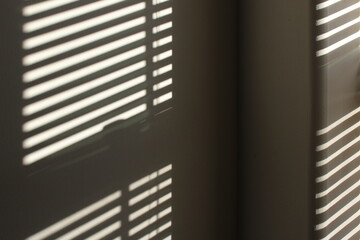Sunlight through window blind background
