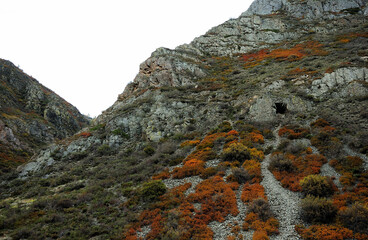 The trail leads to a cave in the center of a high mountain slope.