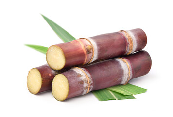 Fresh red sugar cane with green leaf isolated on white background.