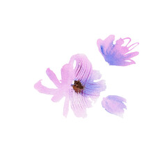 Fototapeta na wymiar Cute watercolor hand painted pink flowers. For design of invitation, wedding card, birthday card