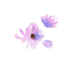 Fototapeta premium Cute watercolor hand painted pink flowers. For design of invitation, wedding card, birthday card