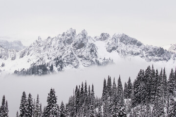Winter scenes in the Pacific Northwest, Mt Rainier National Park