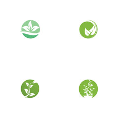 Set Leaf Logo Template vector symbol nature