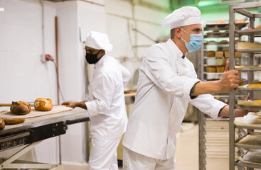 Focused baker in uniform and protective mask for disease prevention carrying tray rack trolley with bread in kitchen of bakery