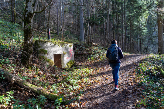 Bei Horgen in der n&auml;he von Rottweil BW