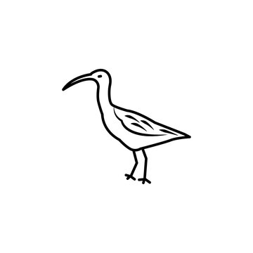 recommend clip art: curlew line icon. signs and symbols can be used for web, logo, mobile app, ui, ux