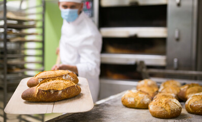 Baker takes out hot bread from the oven