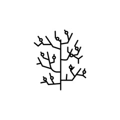 coral, reef line icon. signs and symbols can be used for web, logo, mobile app, ui, ux