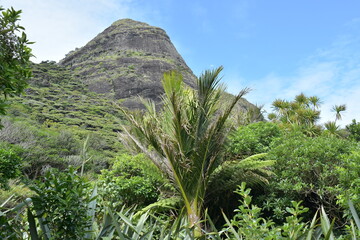 View of Baldy Mountain from Pararaha Valley