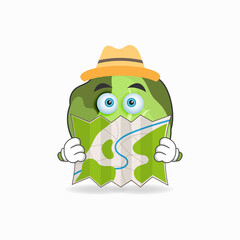 The Cabbage mascot character holds a map. vector illustration