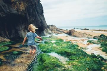 Preschooler playing in rock pools on the beach