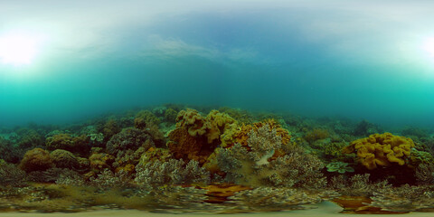 Fototapeta na wymiar Coral garden seascape. Colourful tropical coral. Philippines. 360 panorama VR