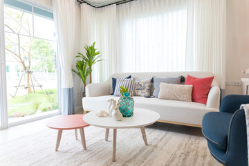 Beautiful modern living room interior with white sofa, colorful pillows, wood table and decorated vase with beautiful plant.