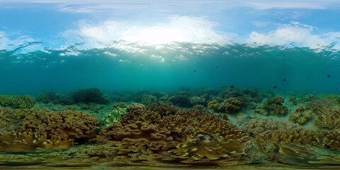 Naklejka na ściany i meble Underwater fish reef marine. Tropical colourful underwater seascape. Philippines. Virtual Reality 360.