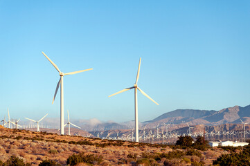 Huge wind farm in the desert of southern California