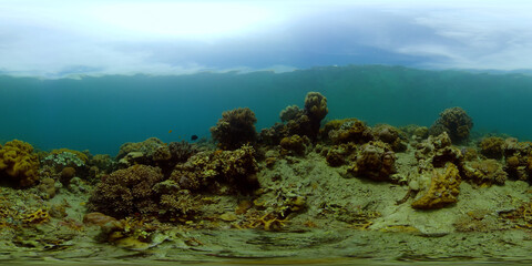 Sea coral reef. Underwater Tropical Sea Seascape. Tropical fish reef marine. Philippines. Virtual Reality 360.