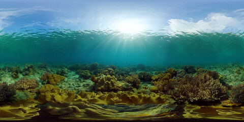 Naklejka na ściany i meble Marine life sea world. Underwater fish reef marine. Tropical colourful underwater seascape. Philippines. Virtual Reality 360.