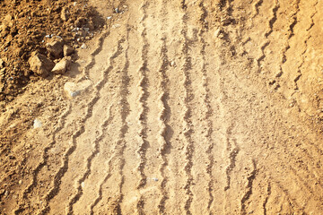 Tracks of cars on the sand in the desert.