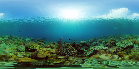 Fototapeta na wymiar Coral reef and tropical fishes. Coral Reef and Fishes Underwater. The underwater world of the Philippines. 360 panorama VR