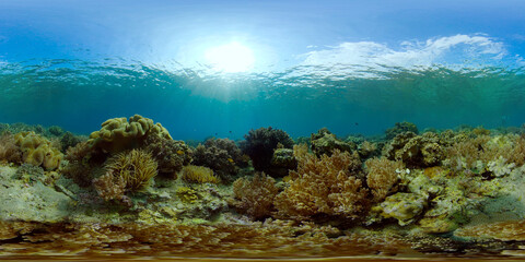 Fototapeta na wymiar Tropical fishes and coral reef at diving. Underwater world with corals and tropical fishes. Virtual Reality 360.