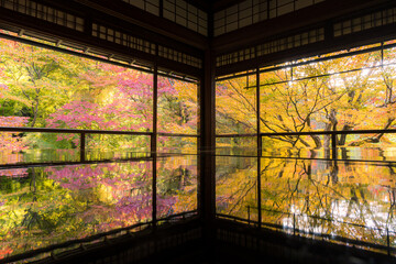 京都　瑠璃光院の紅葉