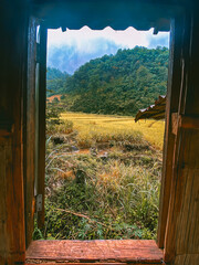 Rice Terraces in Doi inthanon national park in chiang Mai province, Thailand