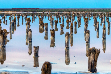 Salt on wooden log in water salt lake. Salt Lake Baskunchak, Russia