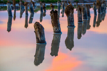 Salt on wooden log in water salt lake. Salt Lake Baskunchak, Russia