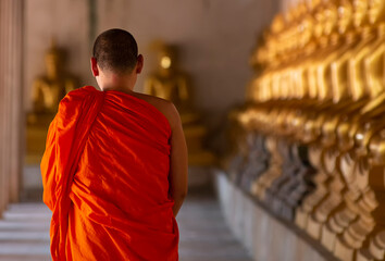 Buddhist monks vipassana meditate to calm the mind. The brain will refresh the secretion of Indoine. Make happy