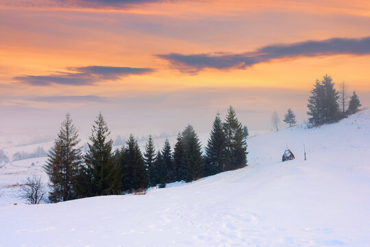 foggy countryside at dawn. beautiful rural landscape in wintertime. trees on snow covered hills beneath a glowing sky