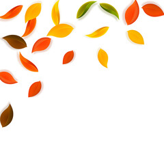 Falling autumn leaves. Red, yellow, green, brown n