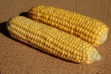 Fresh green corn cobs. Corn as a concept of a vegan food.