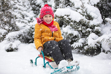 Fototapeta na wymiar Happy child in winter. A boy in bright clothes sits in a sled in the snow.