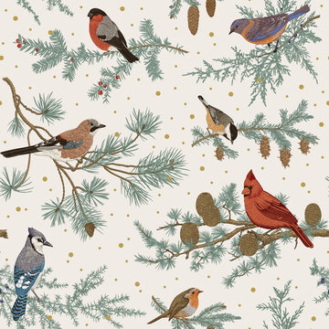 Vintage vector seamless pattern. Winter birds. Botanical illustrations. Tit, Robin, Jay, Blue jay, Bullfinch, Bluebird, Red cardinal