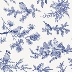 Vintage vector seamless pattern. Winter birds. Botanical illustrations. Tit, Robin, Jay, Blue jay, Bullfinch, Bluebird, Red cardinal. Blue and white